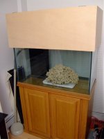 DSCF1376.jpg