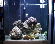 3-27-06.jpg