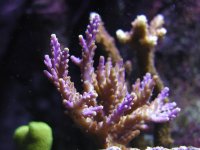 P1010157.jpg