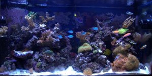FTS.jpg