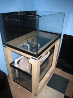IMG_2021.jpg