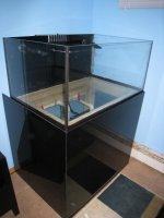 IMG_2024.jpg