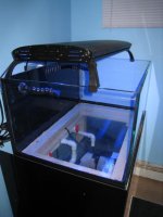 IMG_2028.jpg