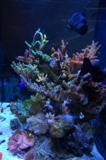 DSC_0009.jpg