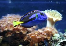 IMG_5582.jpg