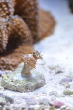DSC_6272.JPG