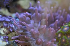 DSC_0267_01.jpg