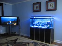 snow pics and fish & CORALS 032.JPG