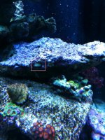 IMG_2430.jpg