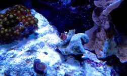 IMAG0174.jpg