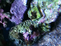 IMG_2297.jpg