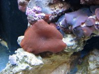 IMG_2528.JPG
