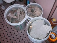 PICT0003.JPG