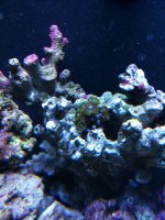 IMG_2305.jpg