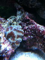 IMG_2307.jpg