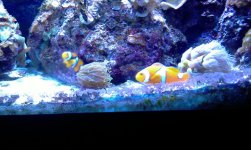 IMAG0347.jpg