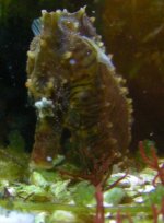 DSCN7859a.jpg
