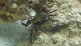 2010-09-12_14-50-46_848.jpg