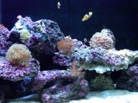 IMG00357-20100222-2054.jpg