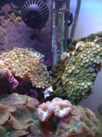 IMG_0056.jpg
