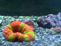 IMG_0213.jpg