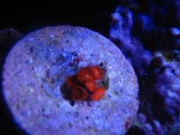 IMG_0095.jpg
