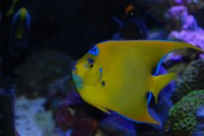 DSC_1041.jpg
