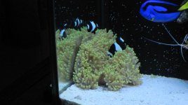 My new addition 003.jpg