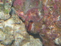 DSCN2361.jpg