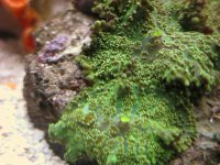 IMG_6305.jpg