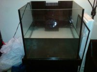 IMG00015-20101231-0407.jpg