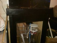 IMG00025-20110102-0148.jpg