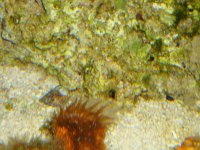DSC04236.JPG