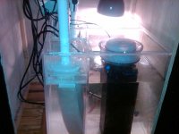 IMG00051-20110107-0718.jpg