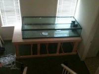 Picture 972.jpg