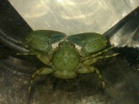 IMG00047-20101110-2237.jpg