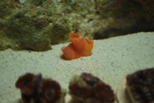 DSC_1307.jpg