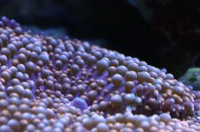 New pics 055.jpg