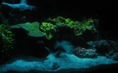 IMG_0809.JPG