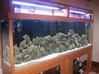 IMG_0656.JPG