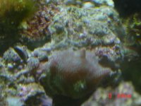 DSC00113.jpg