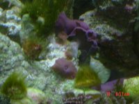 DSC00117.jpg