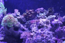 IMG_3562.jpg