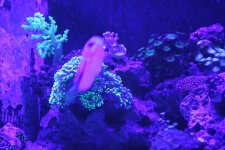 IMG_3580.jpg