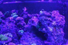 IMG_3577.jpg