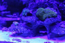 IMG_3584.jpg