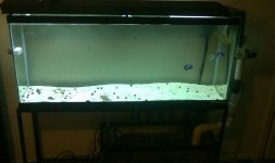 55 g.jpg