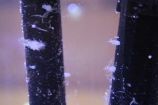 DSC_0002.jpg
