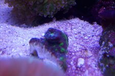100_1364.jpg