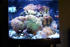fts.jpg